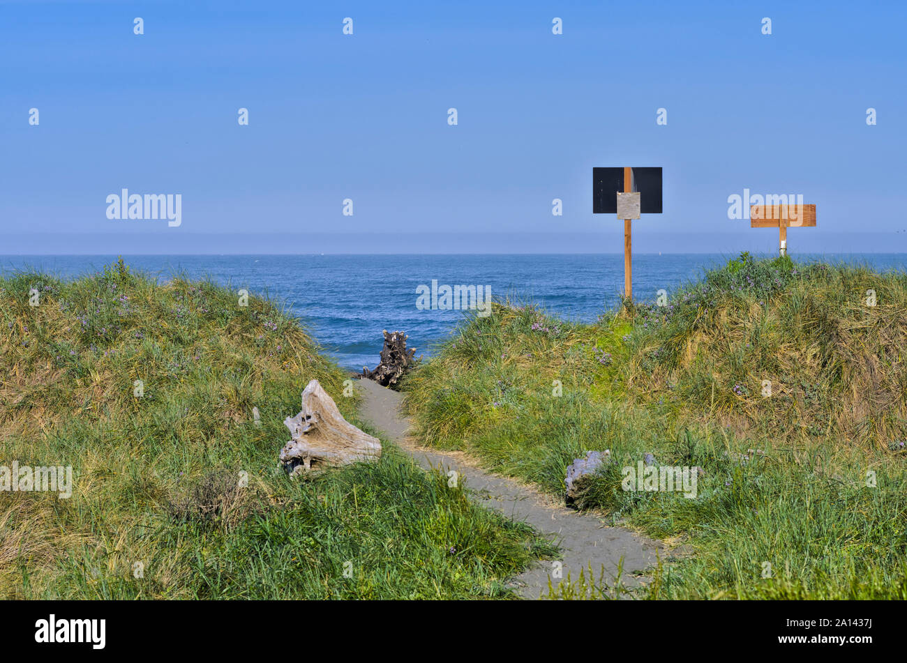 Oder: Curry County, zentrale Curry County Coast, Gold Strand, Gold Beach. Trail Kreuze kleine Dünen an den Strand der Stadt, einen öffentlichen Park. [Bitte für #278.2 Stockfoto