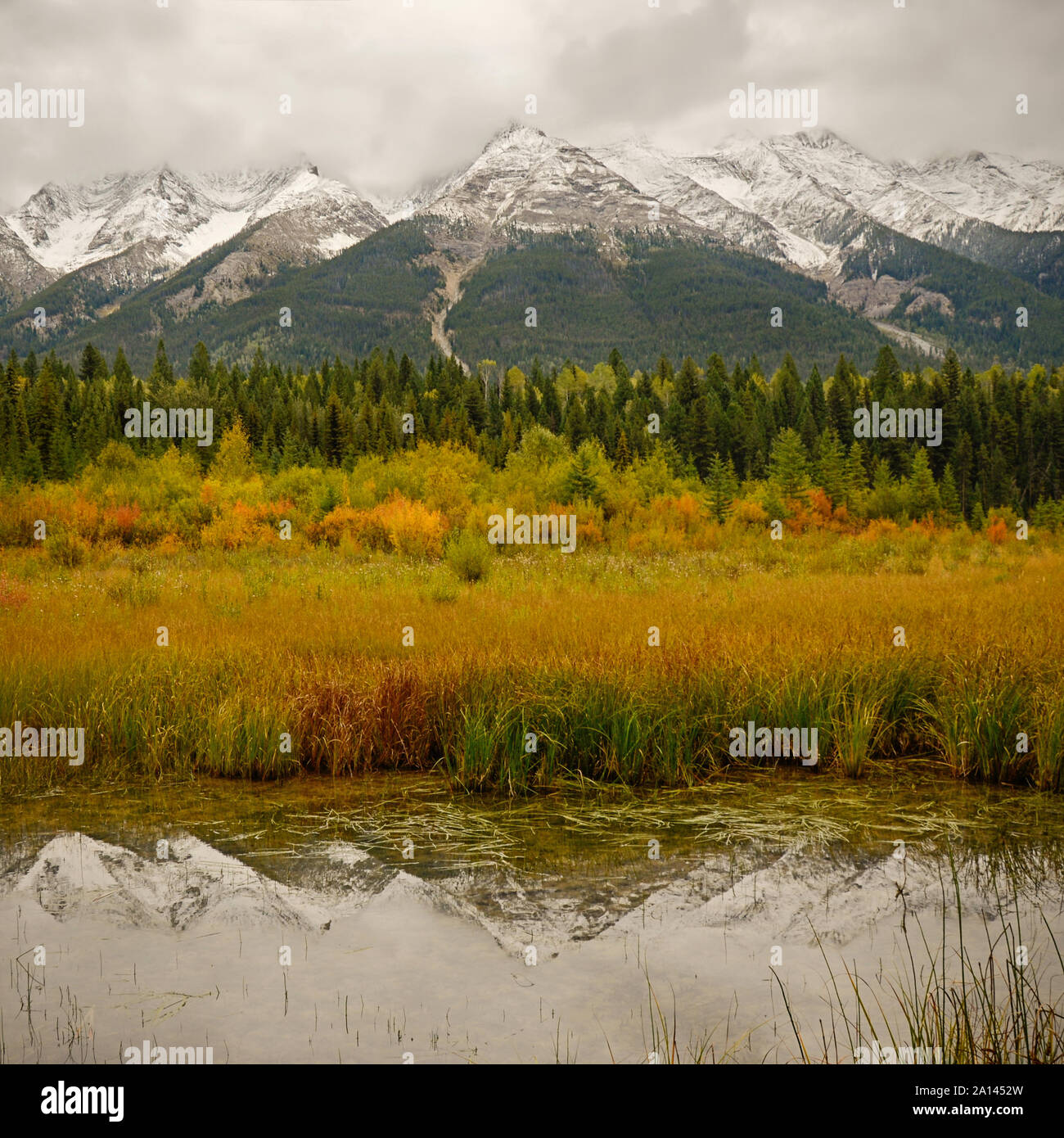 Moody Reflexion der schneebedeckten Mitchell in Hund See in Kootenay National Park, British Columbia, Kanada Stockfoto