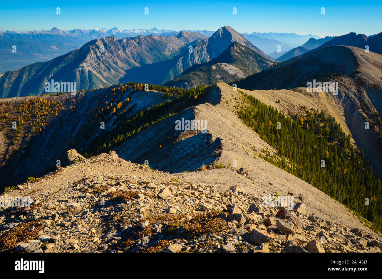 Blick vom Grat Linie auf Pedley Pass in der Nähe von Invermere, Britisch-Kolumbien, Kanada Stockfoto
