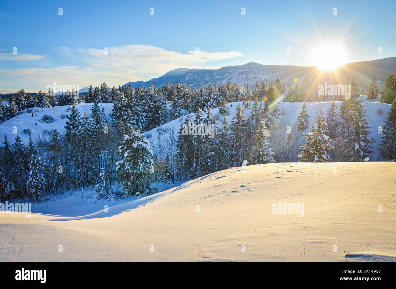 Neue Schnee in den Ausläufern des Fairmont Hot Springs, British Columbia. Purcell Mountains bei Sonnenuntergang Stockfoto