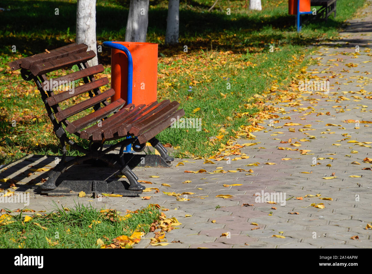 Die Blätter sind gelb, auf dem Boden. Herbst Blätter fallen. Stockfoto