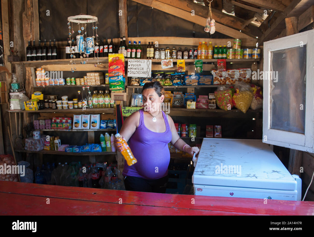 Neuquen, Argentinien - 13. Januar 2014: eine Frau Mapuche verkaufen in Ihrem Store in der Mitte der Anden, in der Nähe von Lanin Nationalpark in Southe Stockfoto