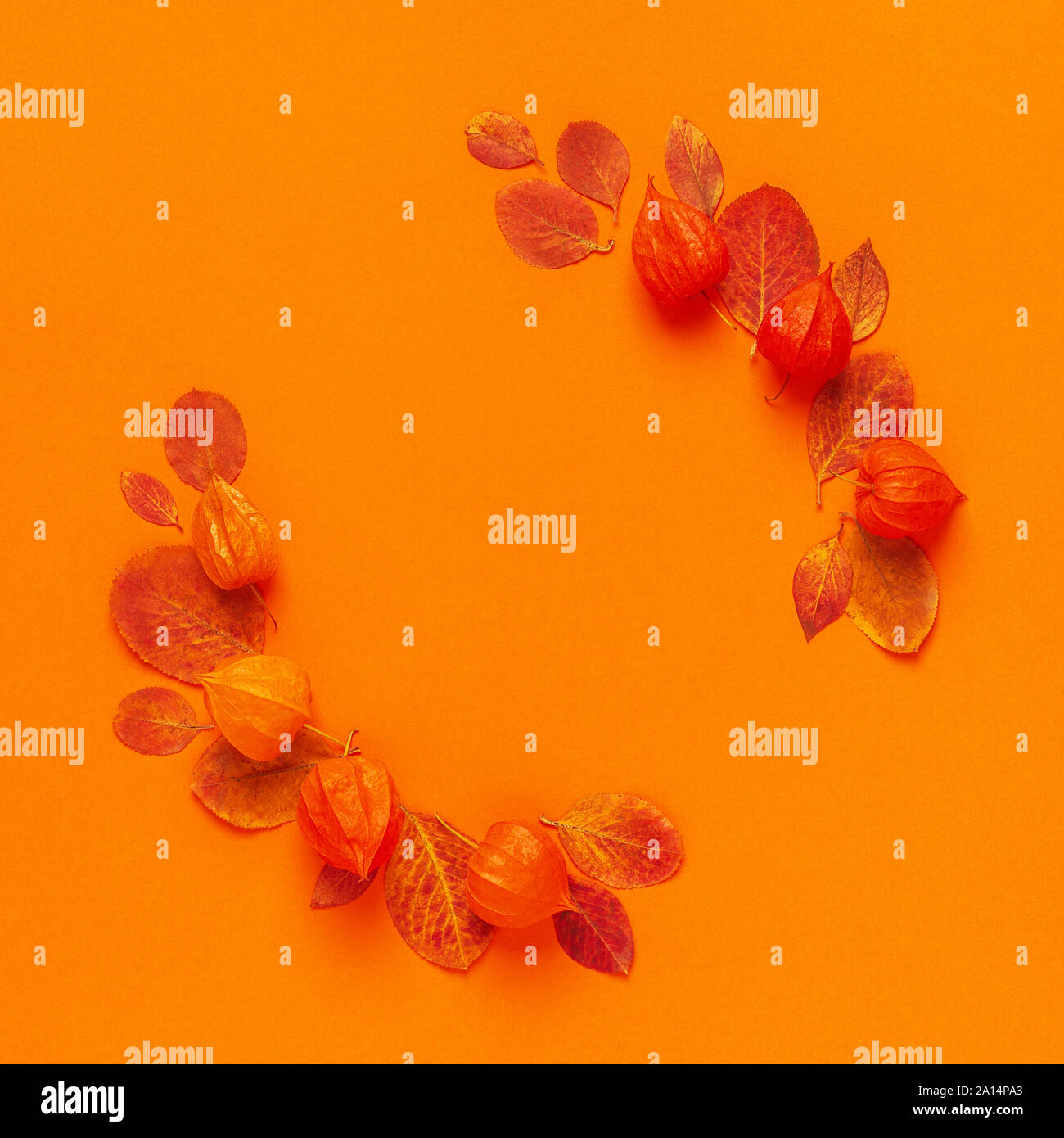 Blätter im Herbst auf orangem Hintergrund, kopieren. Stockfoto