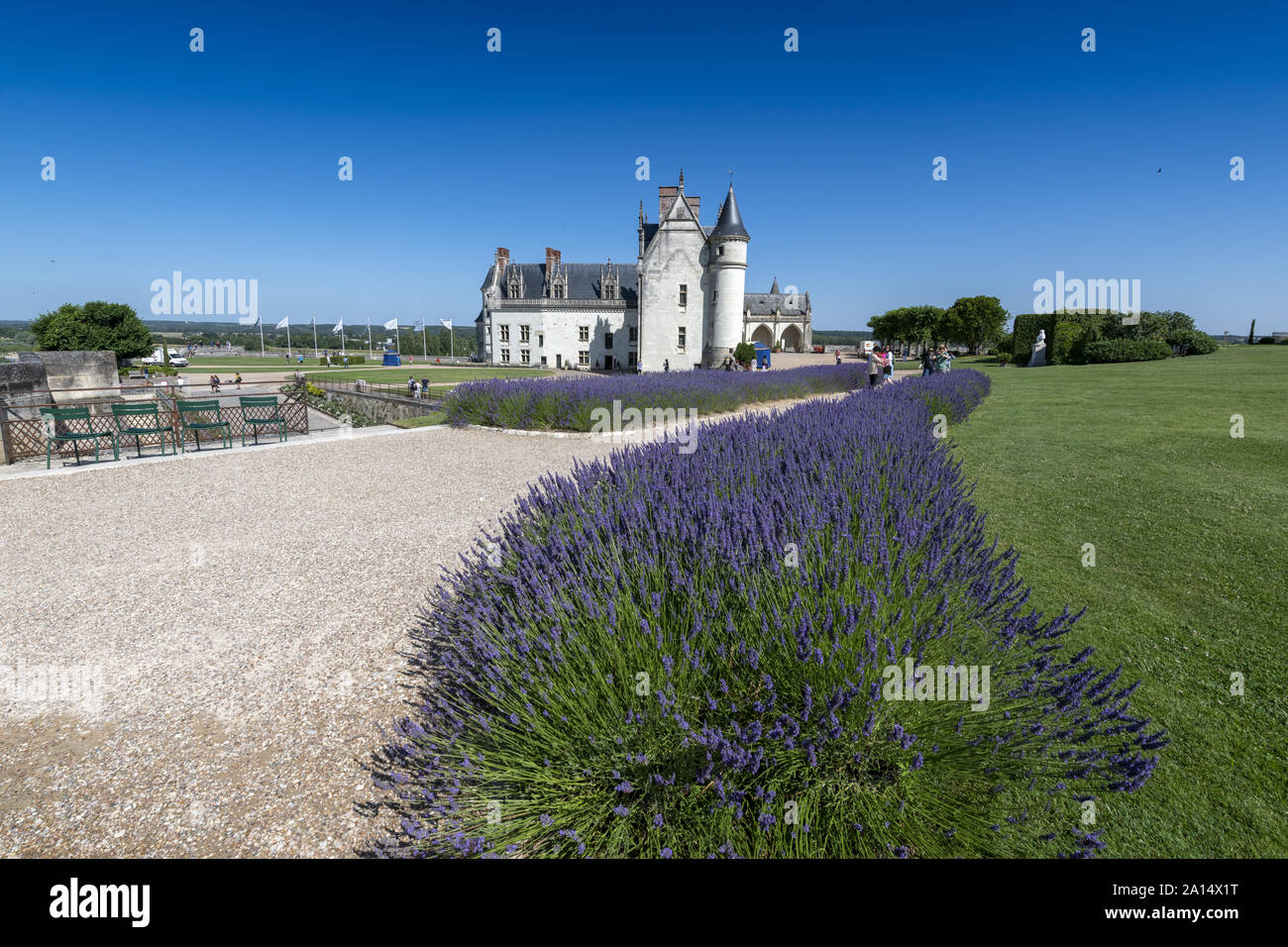 Frankreich Die Königliche Residenz von Amboise: 2018, ein historisches Denkmal im Tal der Loire und Ruhestätte des Künstlers Leonard de Vinci und ist jetzt ein Stockfoto