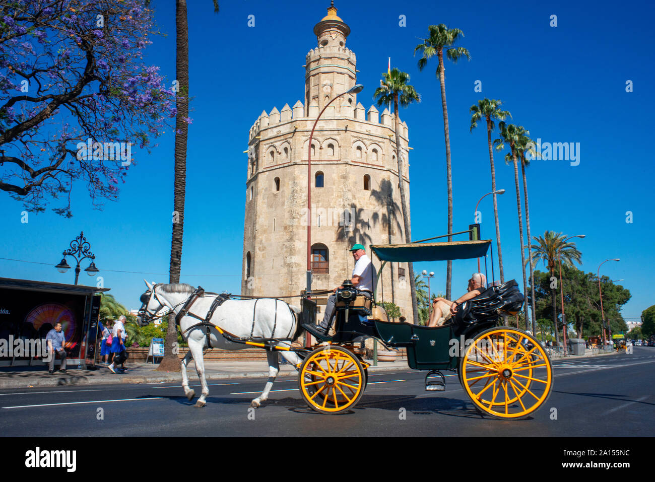 Reiten und Kutschfahrten mit Sevilla Torre del Oro, Blick auf den Maurischen Turm Torre del Oro von Gold in der Altstadt von Sevilla, Andalusien, Sp Stockfoto