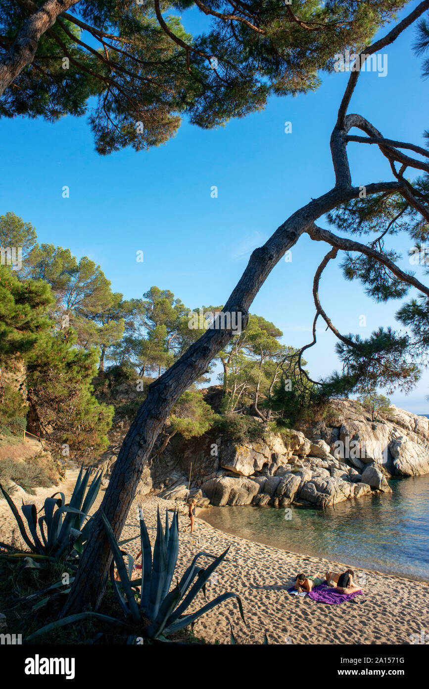 Platja d'Aro. Cala del Pi Strand an der Costa Brava. Cami de Ronda. In der Provinz Girona. Katalonien. Spanien Stockfoto