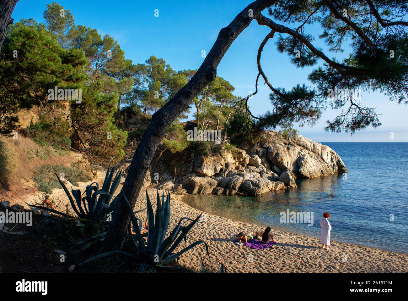 Platja d'Aro. Cala del Pi Strand an der Costa Brava. Cami de Ronda. In der Provinz Girona. Katalonien. Spanien Stockfoto