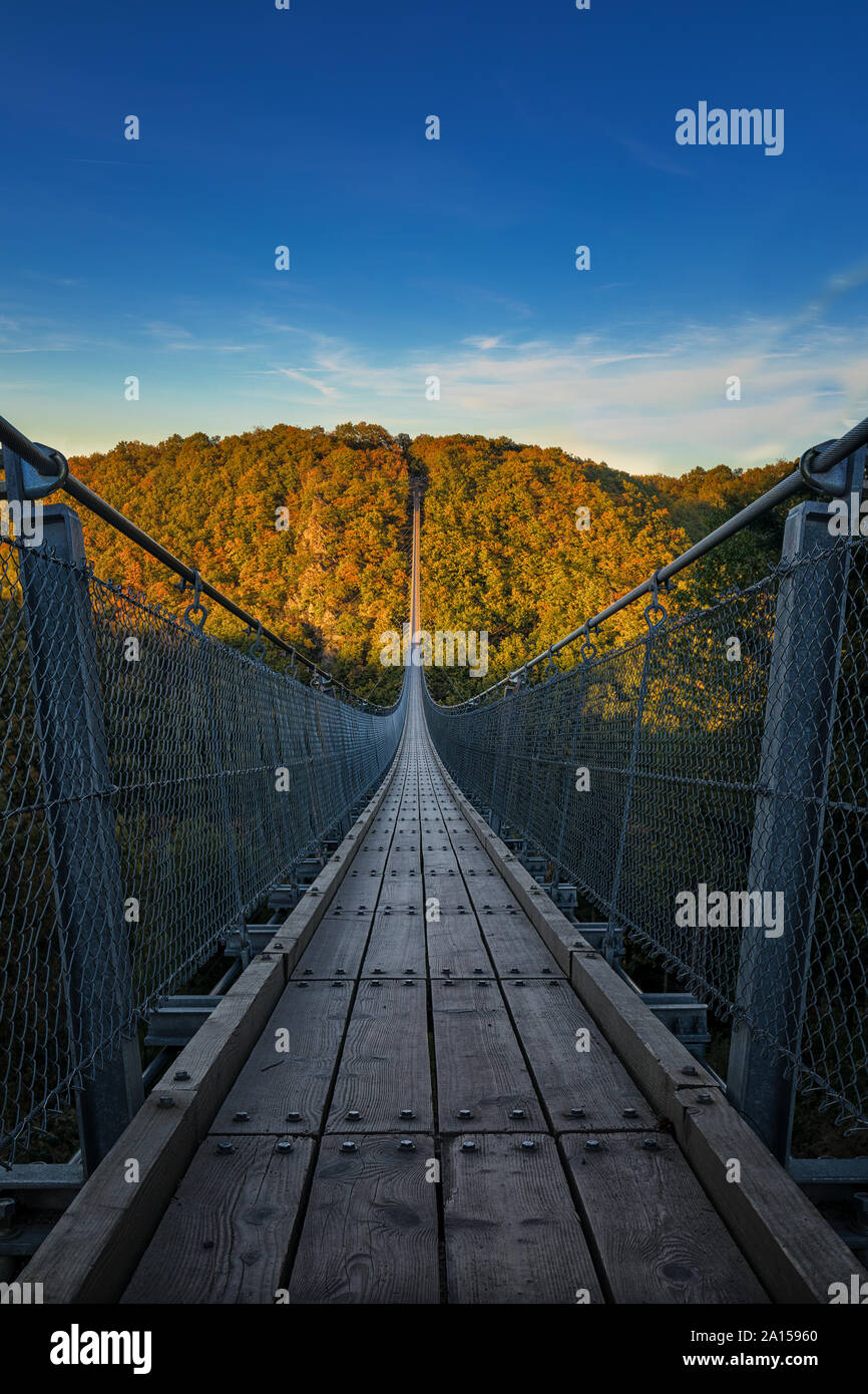 Suspension Bridge Geierlay Stockfoto