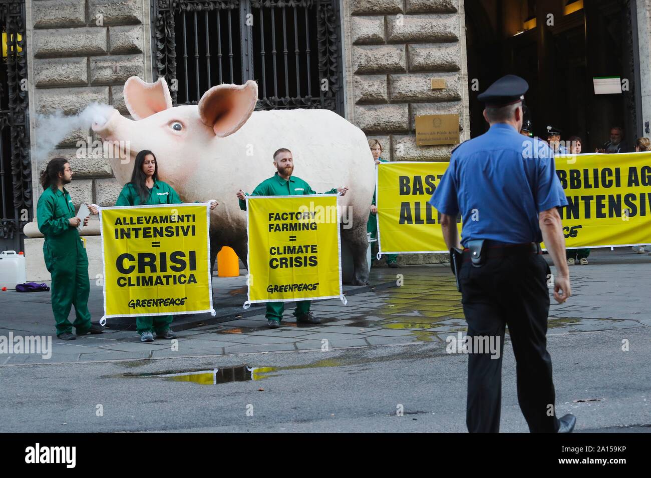 Italien, Rom, 24. September 2019: Greenpeace Aktivisten protestieren vor dem Ministerium für Landwirtschaft, die Aussetzung der Finanzierung für intens zu verlangen. Stockfoto