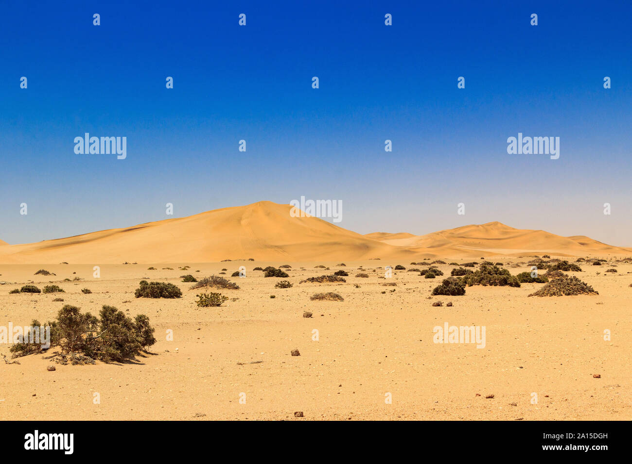 Weiche Sanddünen in der Wüste Namib Naukluft Park, Namibia, Afrika Stockfoto
