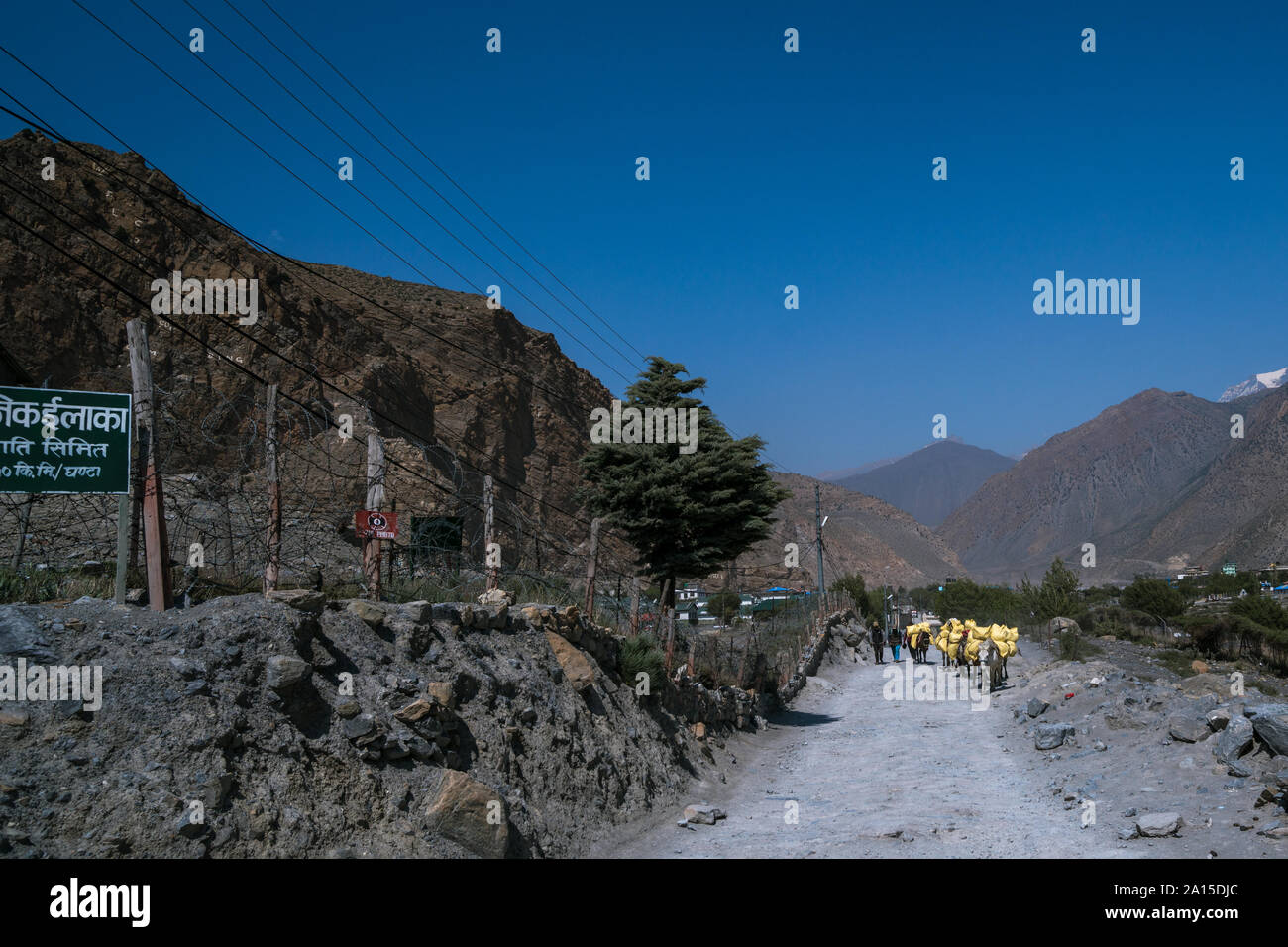 Bereitstellung von Ladungen durch Pferde. Jomsom, Mustang, Nepal Stockfoto