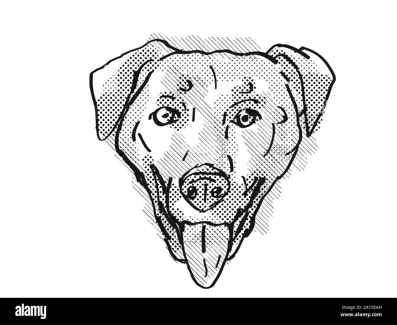 Retro Cartoon Stil Zeichnung der Kopf eines Chinook Hund, ein Hund oder Hund  Rasse auf isolierten weißen Hintergrund in Schwarz und Weiß Stockfotografie  - Alamy