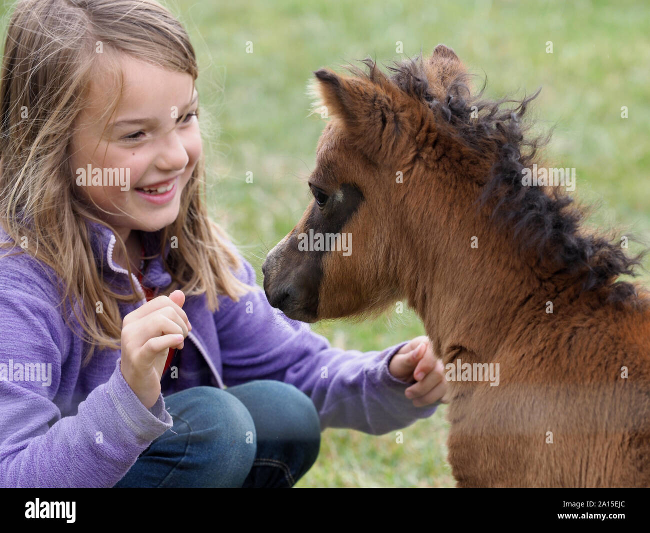 Ein junges Mädchen sitzt mit einem sehr jungen niedliche pony Fohlen. Stockfoto