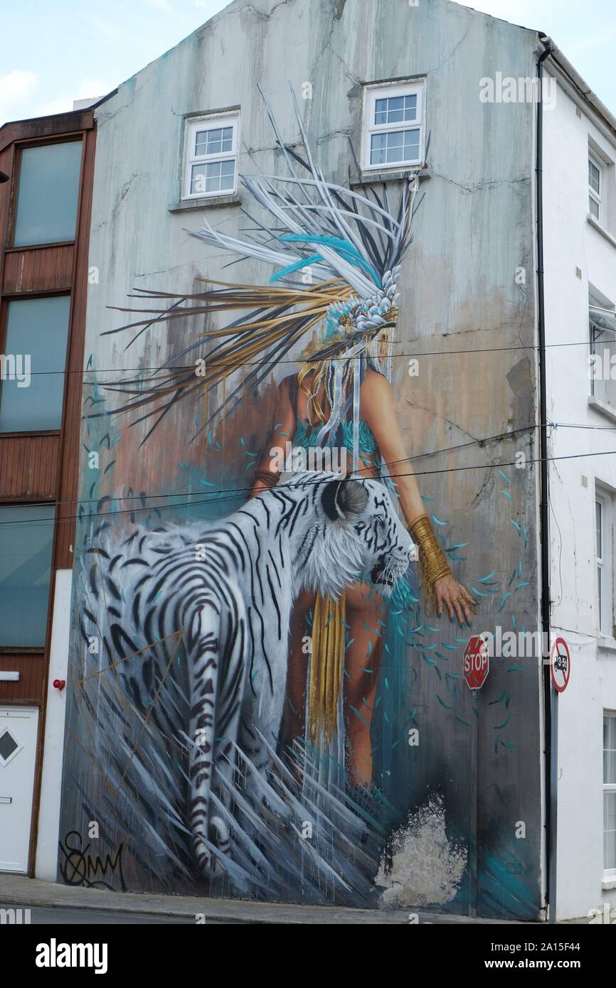 Urbane Kunst an der Seite des Gebäudes in der Stadt Waterford. Irland Stockfoto