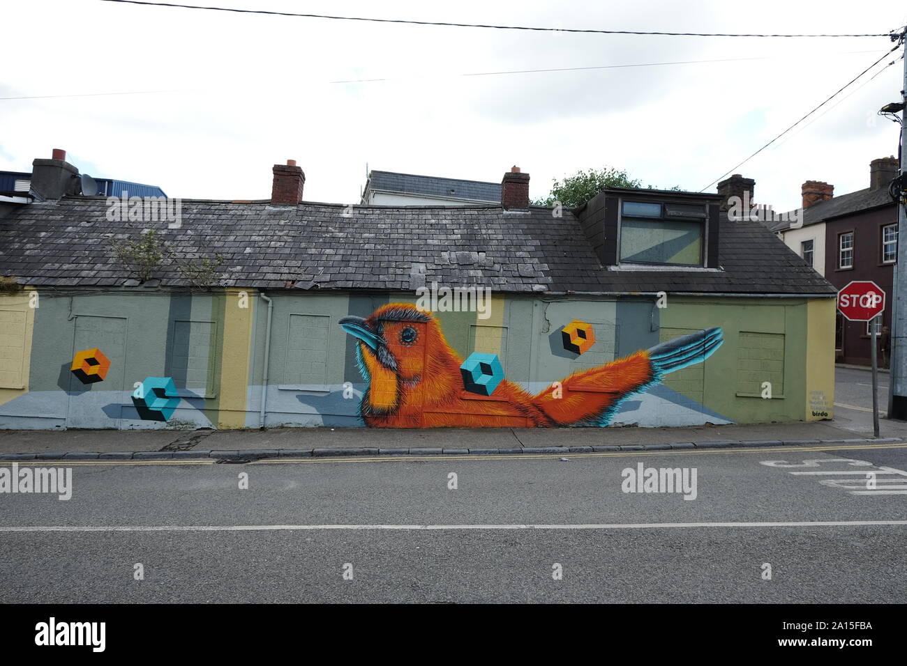Urban Art eines Vogels auf der Vorderseite des ein verfallenes Gebäude in Waterford, Irland Stockfoto