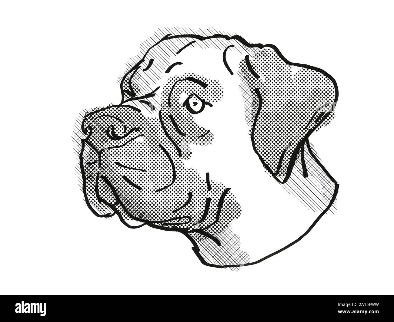 Retro Cartoon Stil Zeichnung der Kopf eines Boerboel, eine inländische Hund oder Hund Rasse auf isolierten weißen Hintergrund in Schwarz und Weiß. Stockfoto