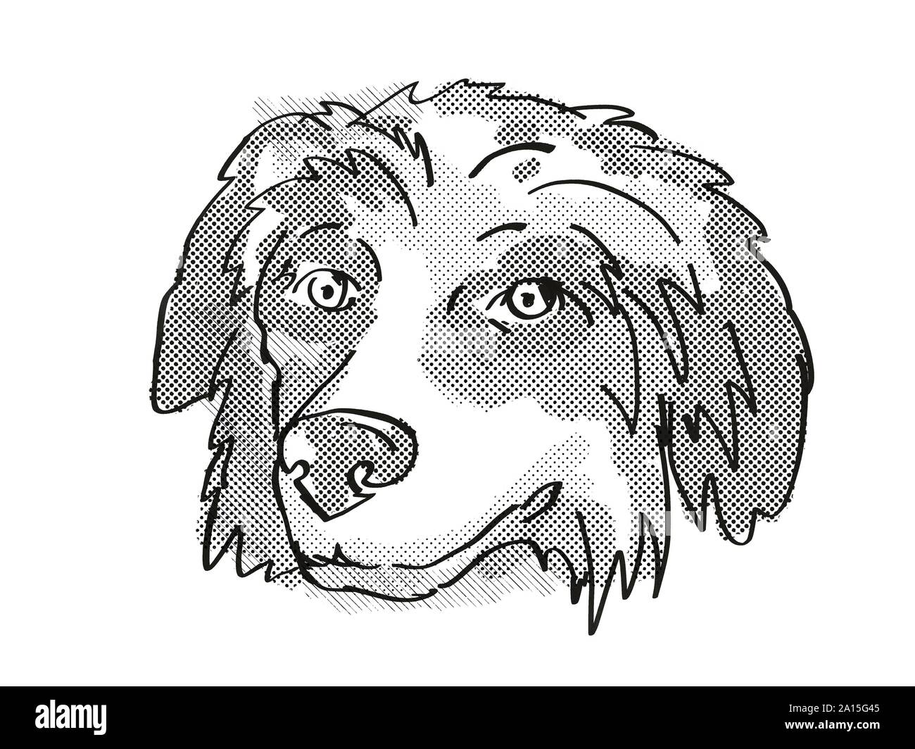 Retro Cartoon Stil Zeichnung der Kopf eines Berner Sennenhund, eine inländische Hund oder Hund Rasse auf isolierten weißen Hintergrund in Schwarz und Weiß. Stockfoto