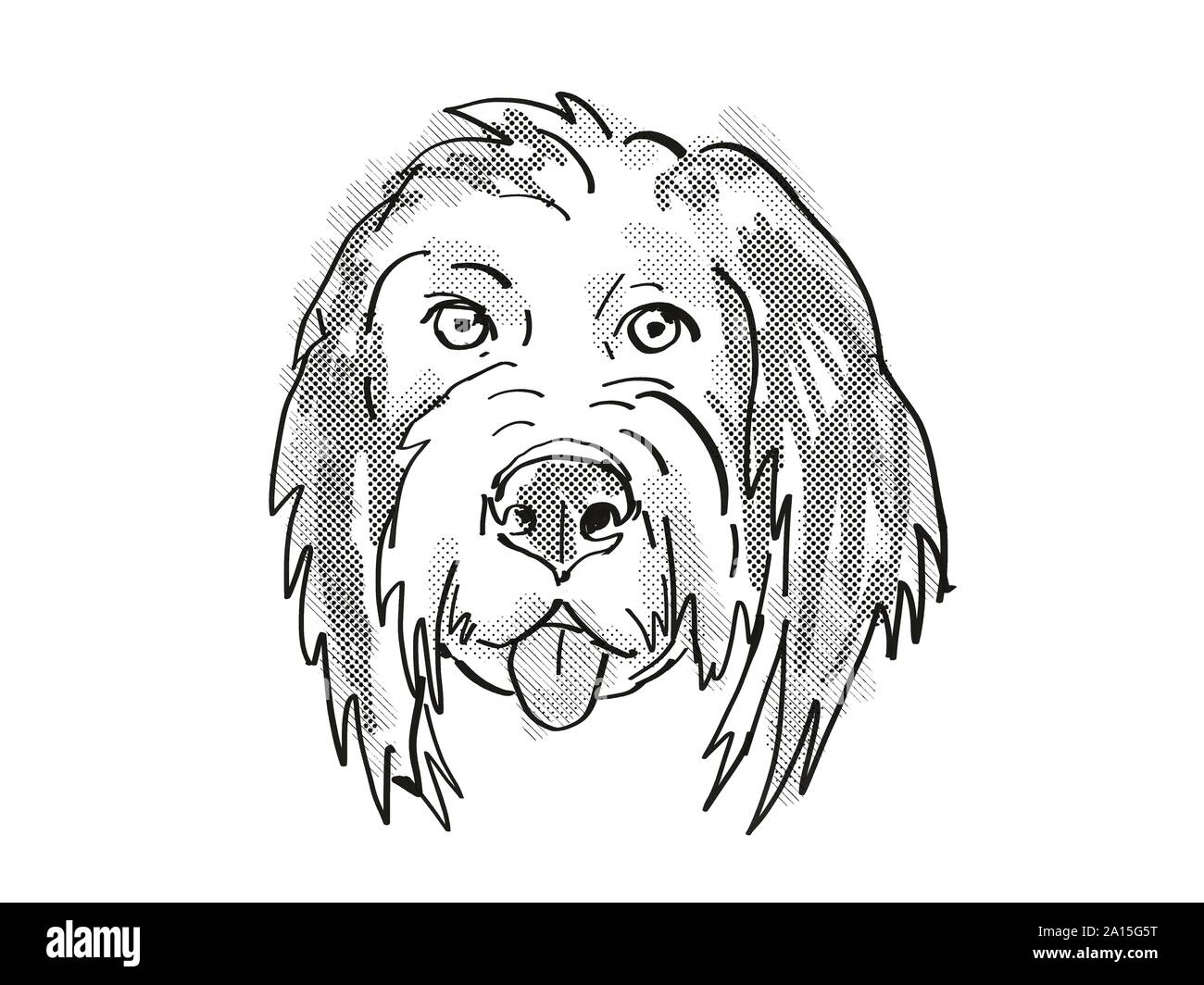 Retro Cartoon Stil Zeichnung der Kopf einer Bernedoodle oder Berner Berg Poo, eine inländische Hund oder Hund Rasse auf isolierten weißen Hintergrund in Bl getan Stockfoto