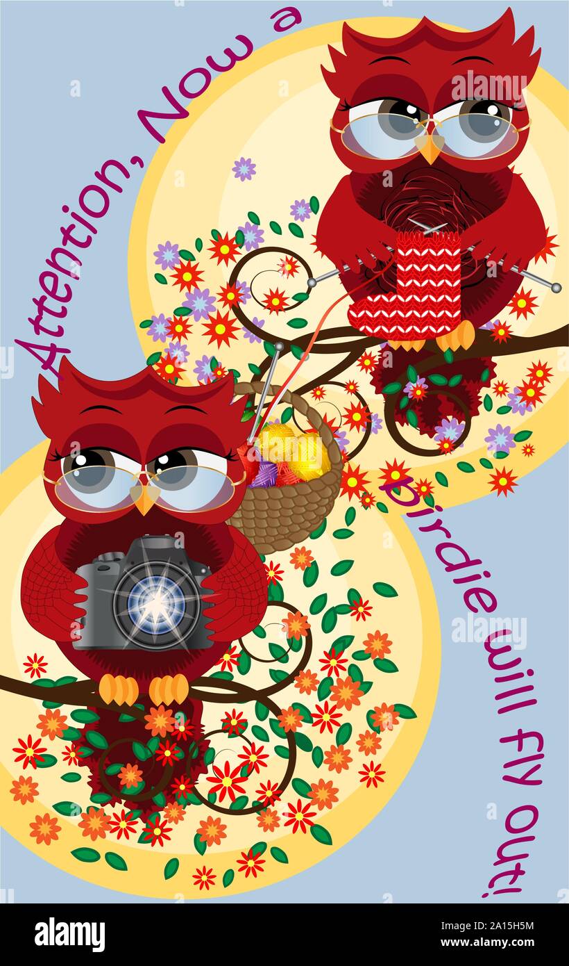 Ein rotes Bonbon Eule mit Brille und mit einer Kamera sitzt auf einem blühenden Baum, ihre Eule Freundin stricken Socken. Inschrift Aufmerksamkeit, der Vogel Stock Vektor