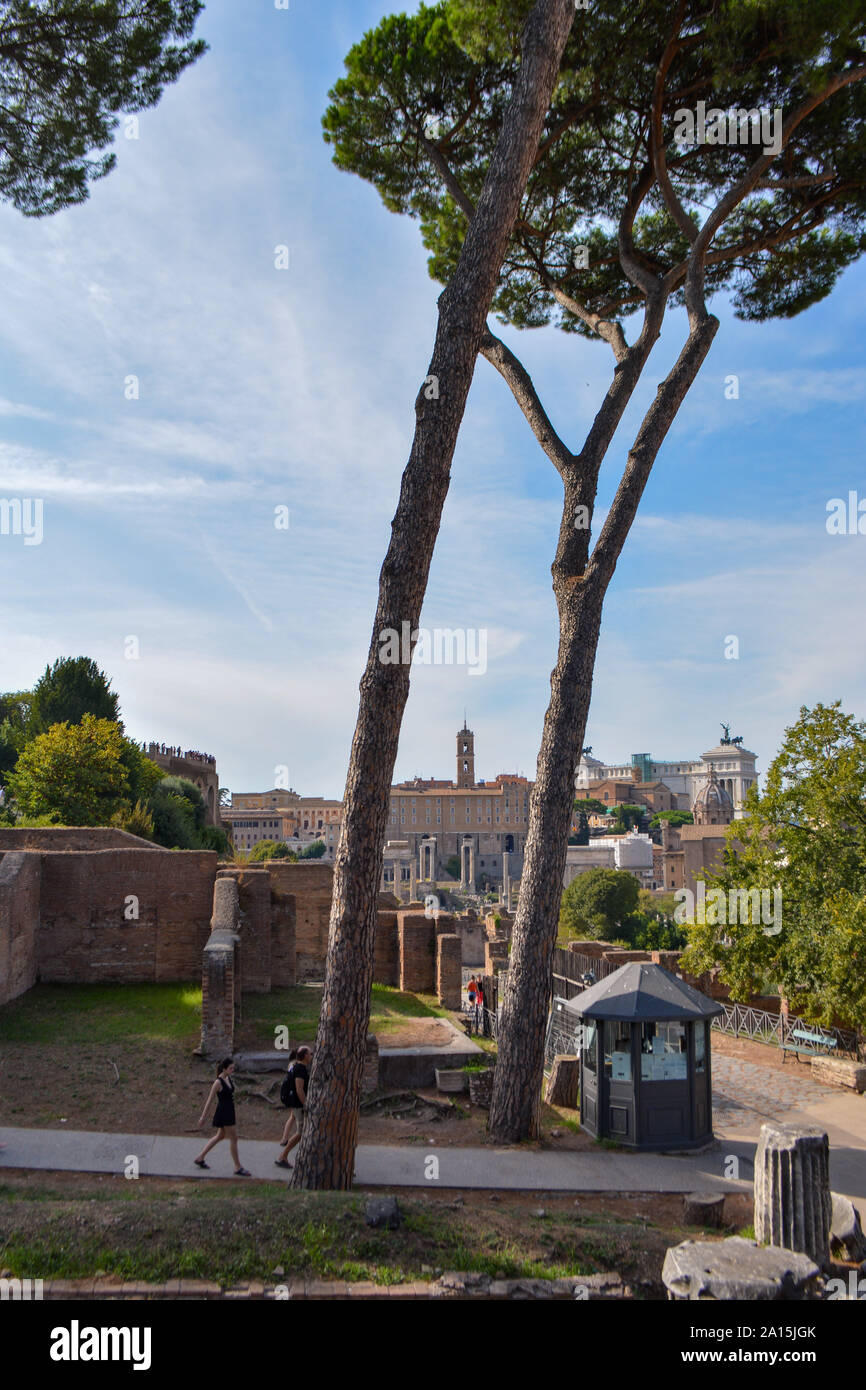 Die alten "Forum Romanum" in Rom in Italien Stockfoto