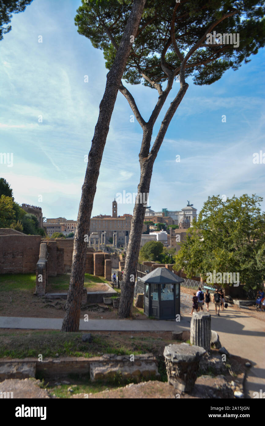 Die alten "Forum Romanum" in Rom in Italien Stockfoto