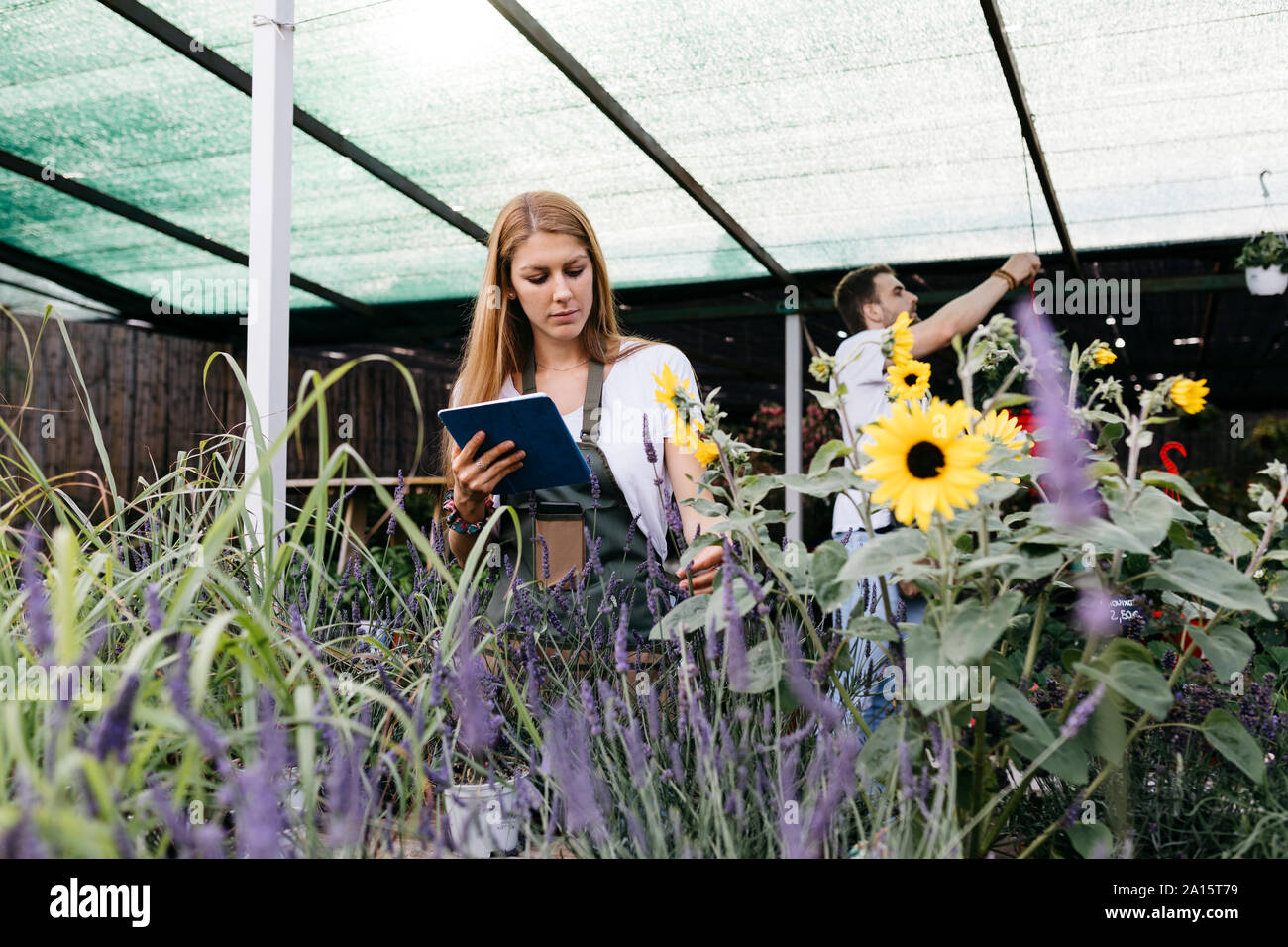 Weibliche Arbeitnehmer in einem Gartencenter mit einem Tablet interessieren für Blumen Stockfoto