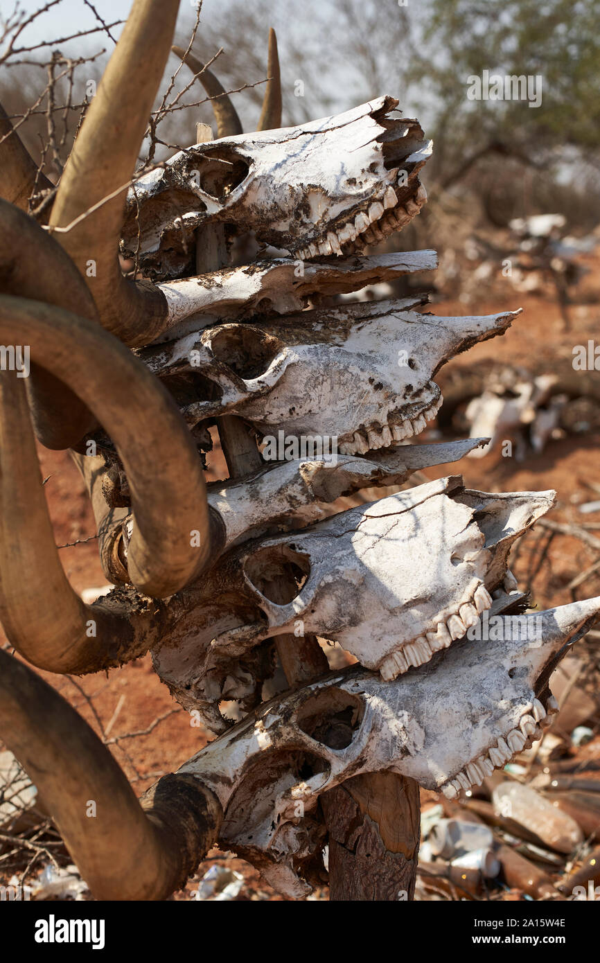 Mucubal traditionellen Friedhof, Virei, Angola Stockfoto