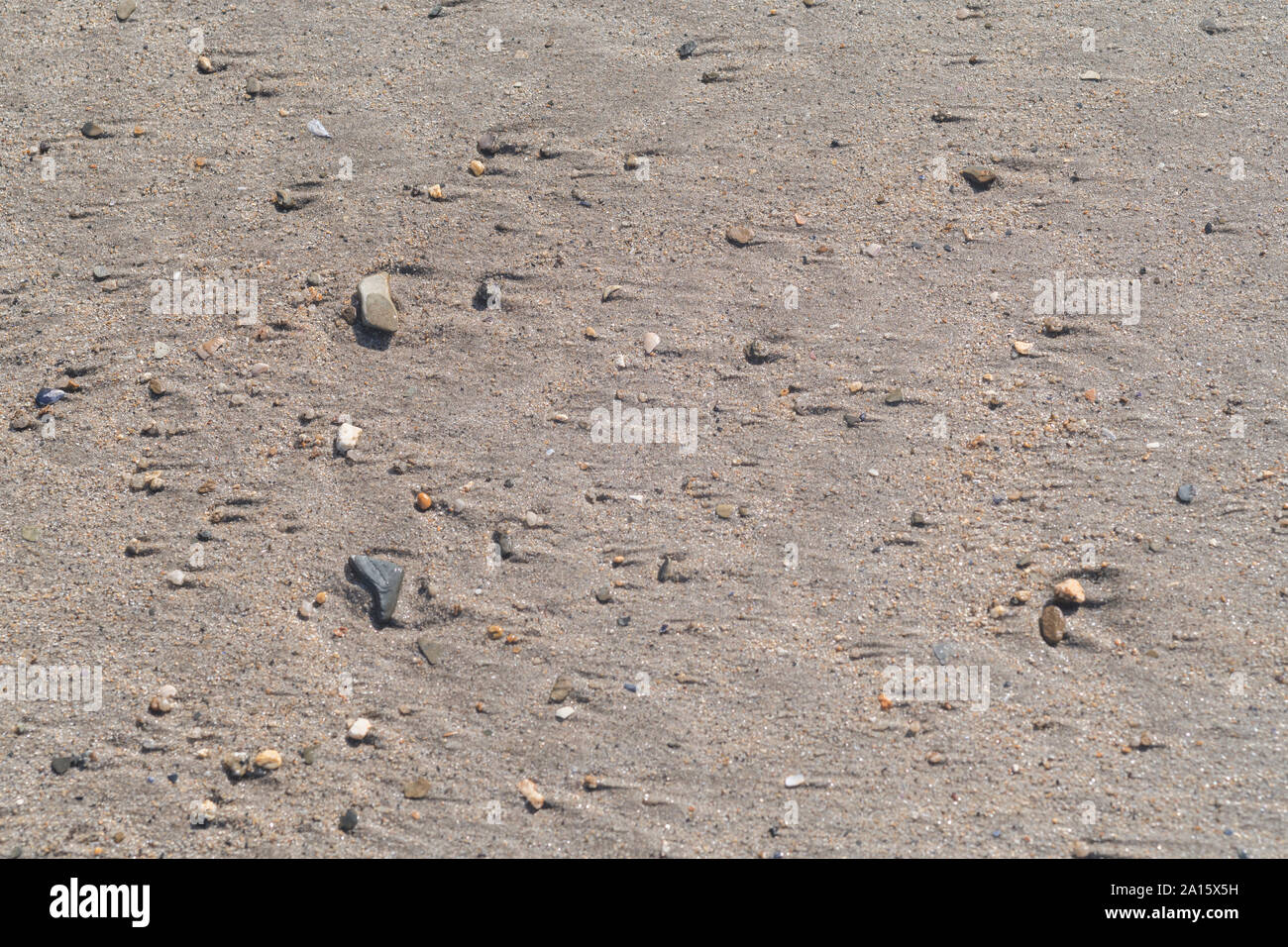 Nasser Ufersand und Kieselsteine, die zurückgelassen wurden, während die Flut zurücktritt. Stockfoto