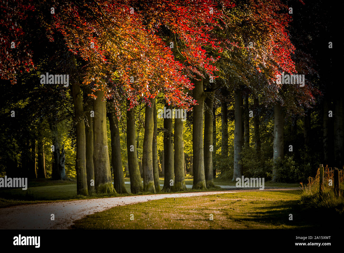 Schloss Garten Niederlande Stockfoto