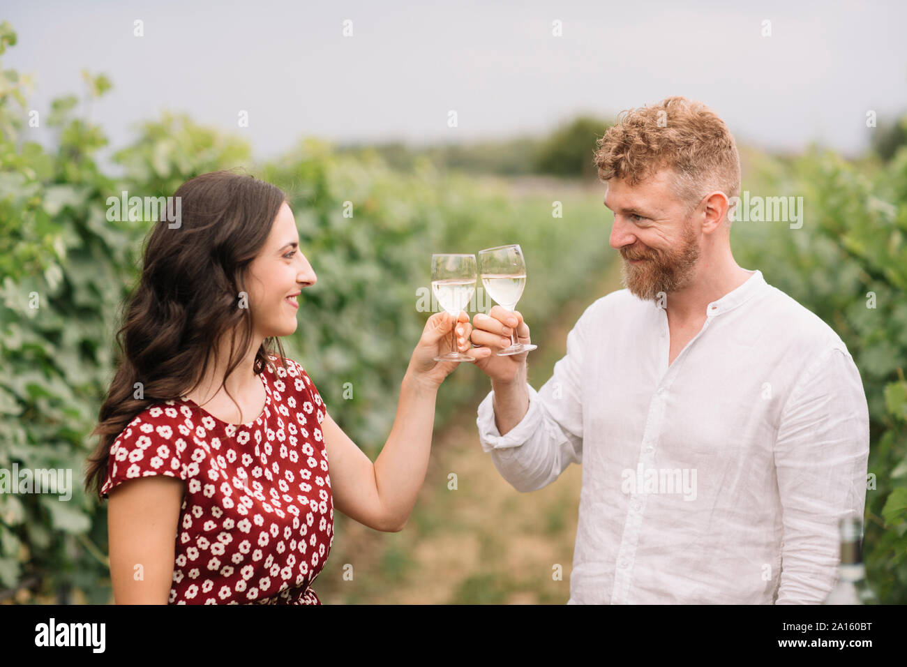 Paar Toasten mit weißen Wein in den Weinbergen Stockfoto