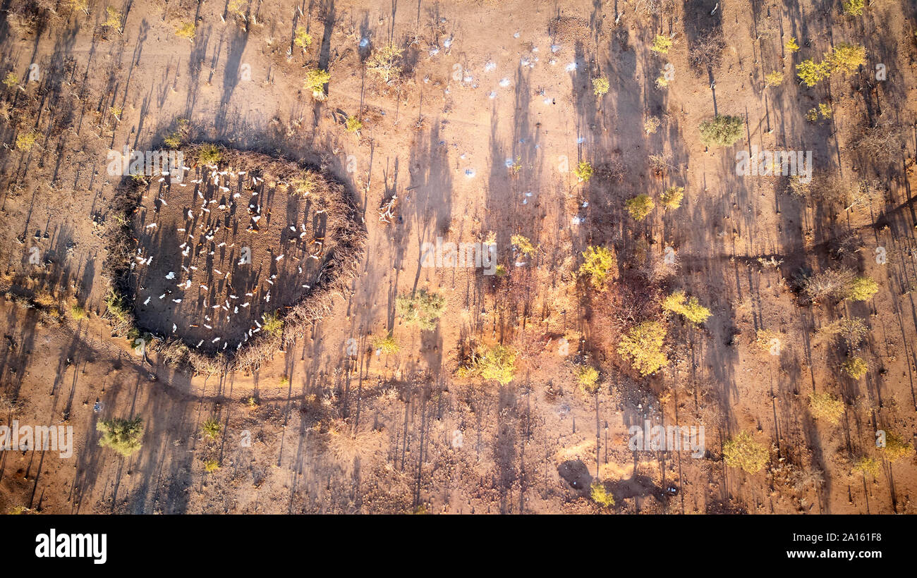 Zäune für schützen die Ziegen von wilden Tieren, die in Angola Stockfoto