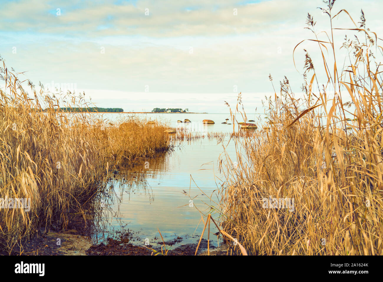 Ostsee, Lahemaa Nationalpark im Herbst, Altja, Estland Stockfoto