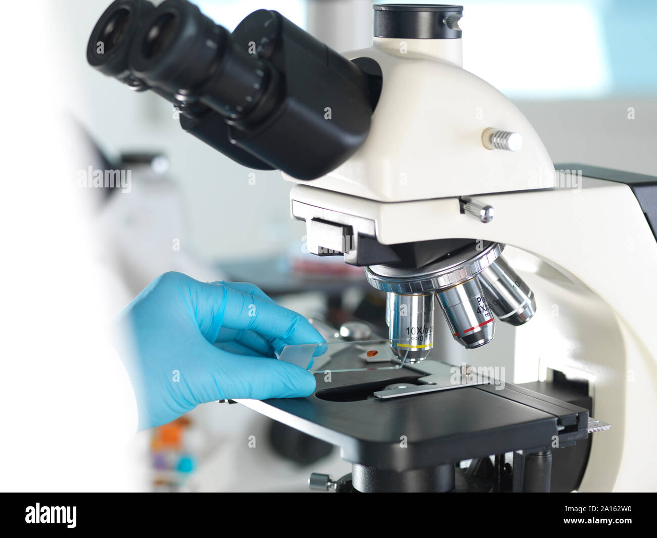 Medizinische Untersuchung, Wissenschaftler untersuchen ein Glas Folie mit einem menschlichen Probe unter dem Mikroskop und Blutprobe Stockfoto