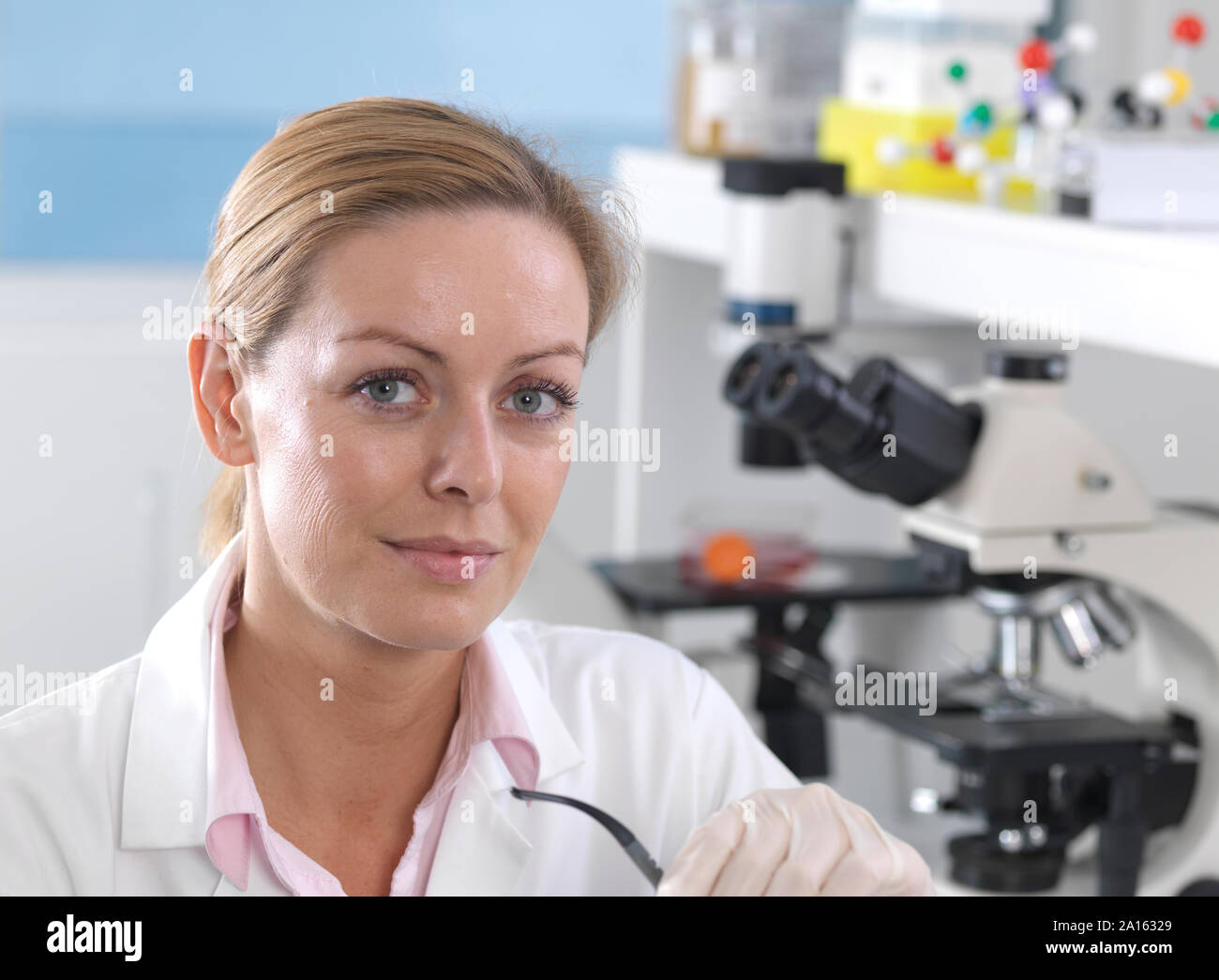 Die pharmazeutische Forschung, Wissenschaftler arbeiten an einem Forschungsprojekt im Labor Stockfoto