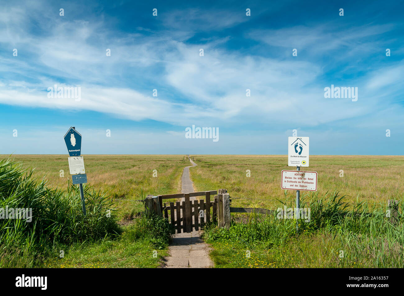 Deutschland, Schleswig-Holstein, Sankt Peter-Ording, Blick vom Deich nach Salt Marsh Stockfoto