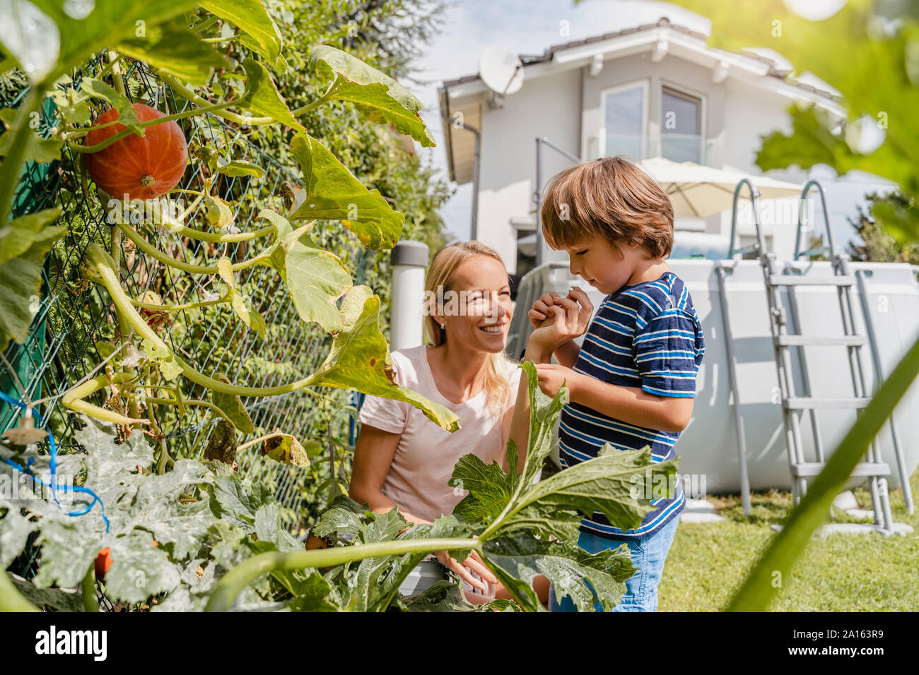 Mutter und Sohn interessieren für Gemüse im Garten Stockfoto