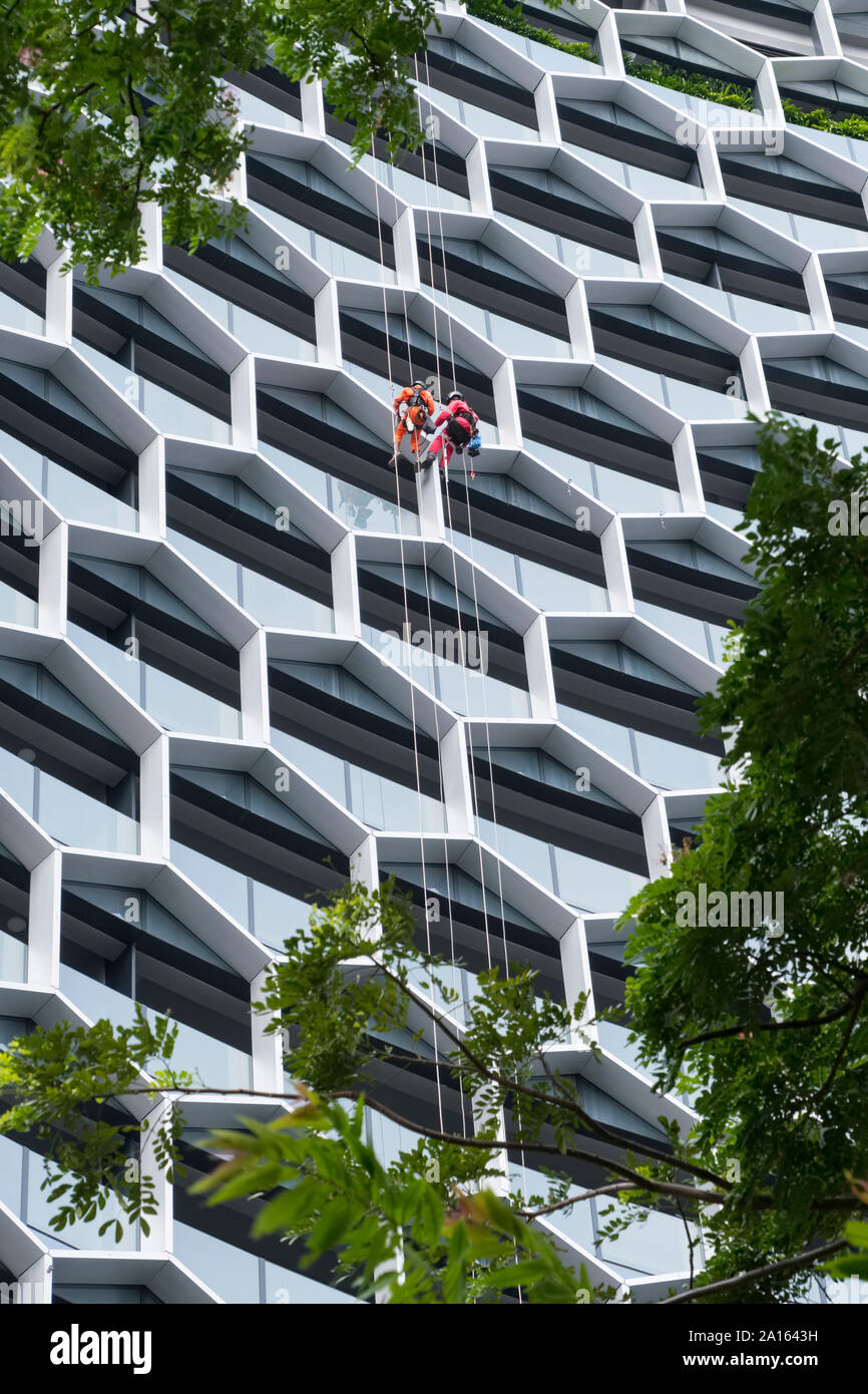 Singapur: Das DUO Twin Towers (Architekt Buro Ole Scheeren). Steeplejacks Reinigung der Metallkonstruktion Stockfoto