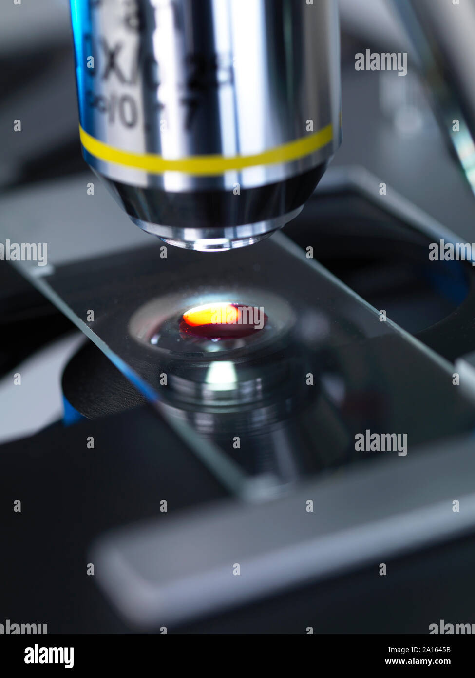 Menschliche Probe anaylised unter dem Lichtmikroskop in Labor, Stockfoto