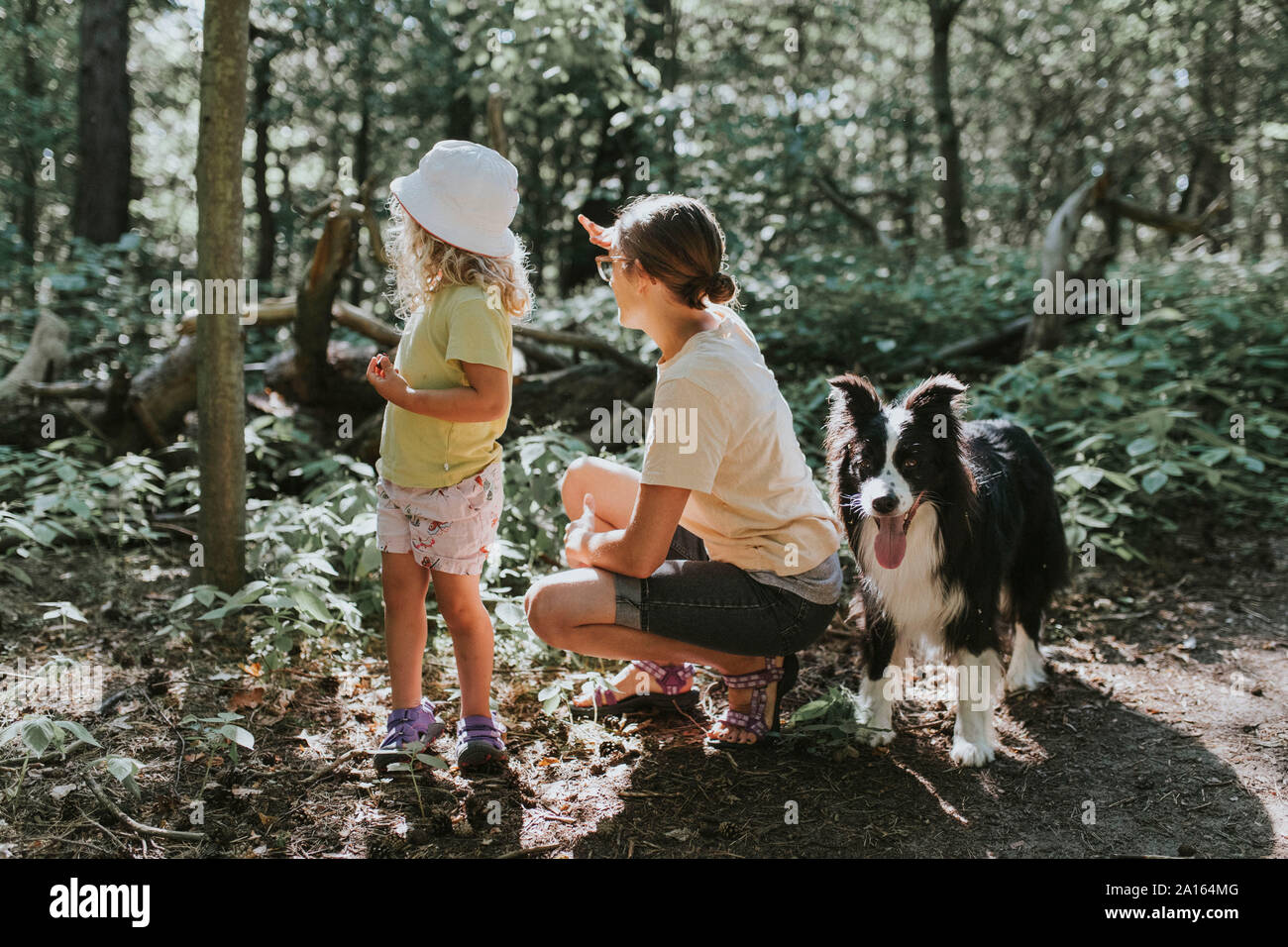 Mutter mit Tochter und Hund im Wald Stockfoto
