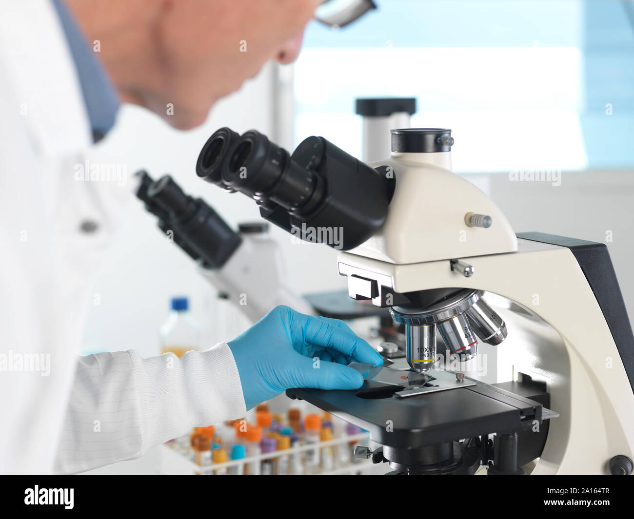 Medizinische Untersuchung, Wissenschaftler untersuchen ein Glas Folie mit einem menschlichen Probe unter dem Mikroskop und Blutprobe Stockfoto