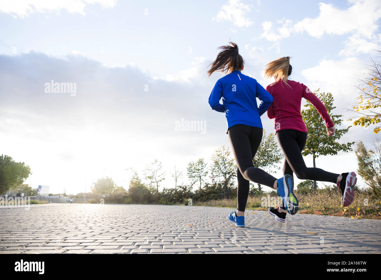 Ansicht der Rückseite des Frauen zusammen in einem Park läuft, gegen Morgen Sonne Stockfoto