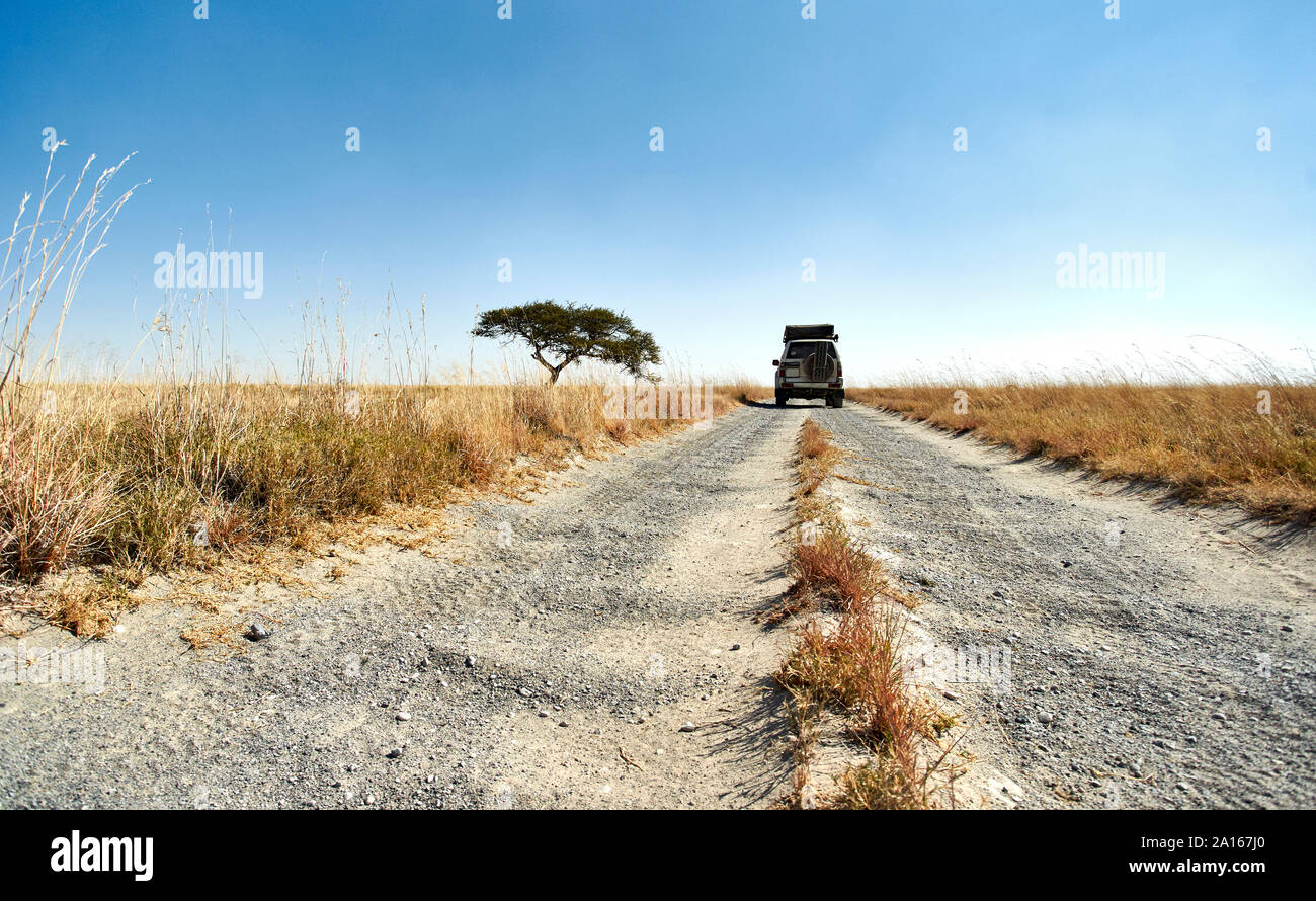 Geländewagen fahren auf einer Piste in einem typischen afrikanischen Savannenlandschaft, Makgadikgadi Pans, Botswana Stockfoto Geländewagen fahren auf einer Piste in einem typischen afrikanischen Savannenlandschaft, Makgadikgadi Pans, Botswana Stockfoto