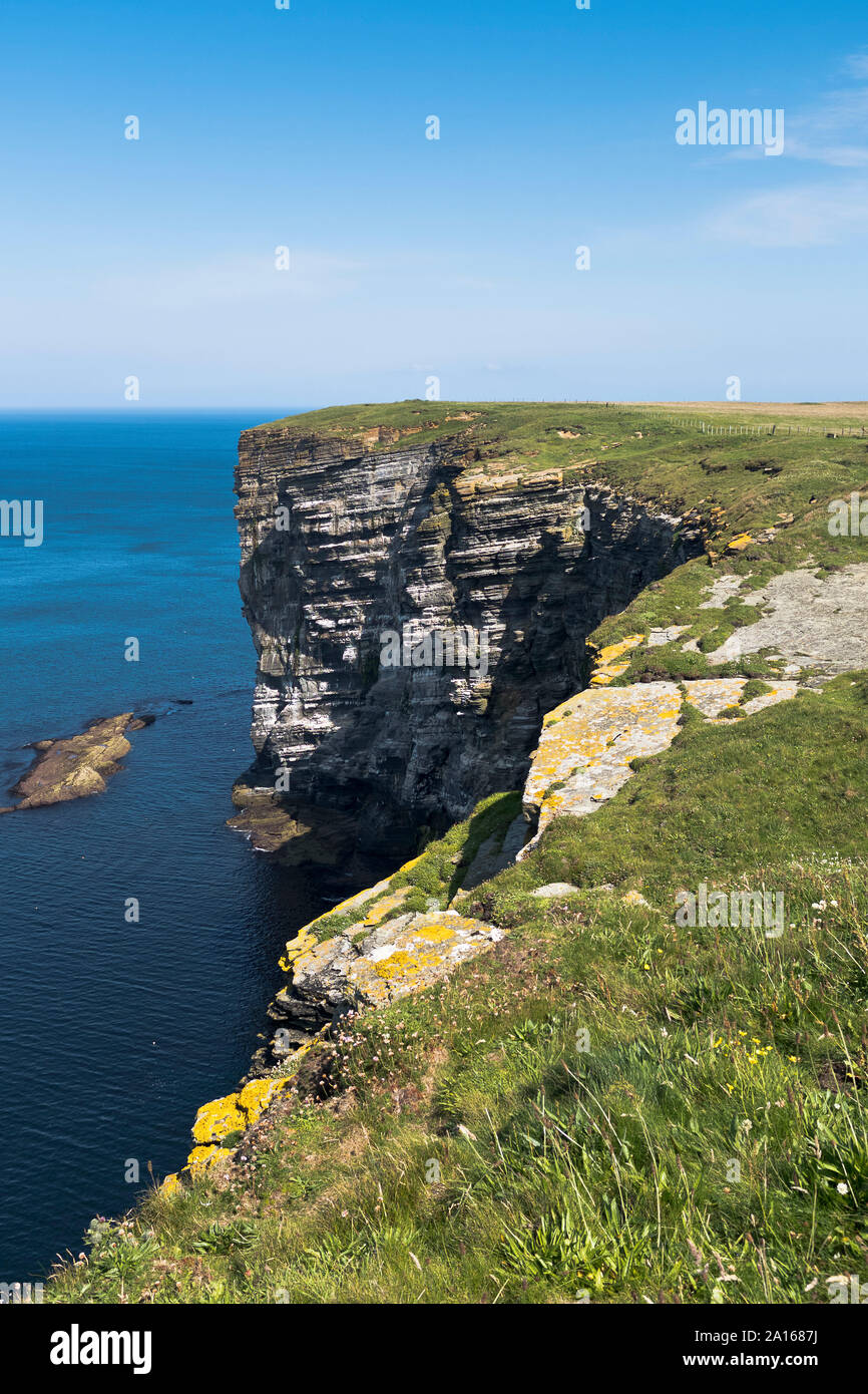 Dh Marwick Kopf MARWICK ORKNEY Klippen RSPB Nature Reserve Stockfoto