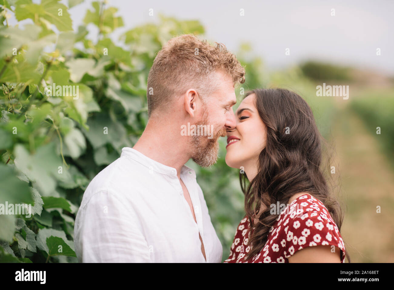 Liebhaber in den Weinbergen Stockfoto