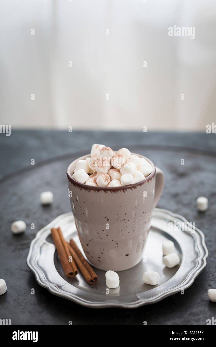 Tasse heiße Schokolade mit Marshmallows Stockfoto