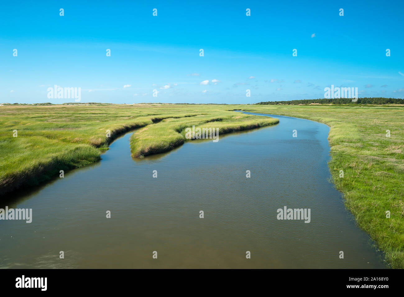 Deutschland, Schleswig-Holstein, Sankt Peter-Ording, Salzwiesen bei Flut Stockfoto
