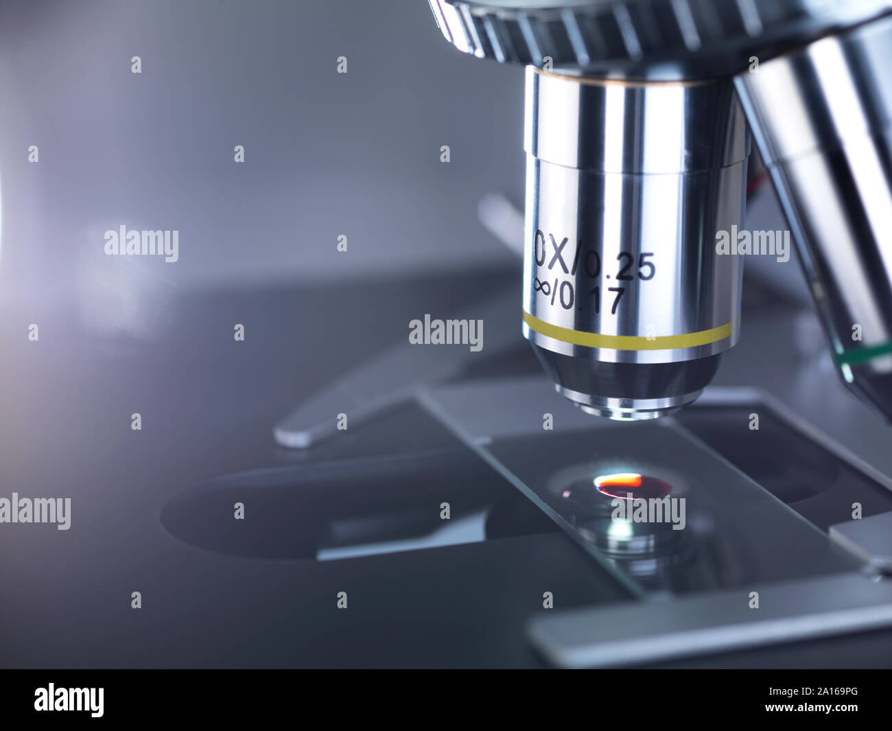 Die Probe auf einem Objektträger unter einem Mikroskop im Labor Stockfoto