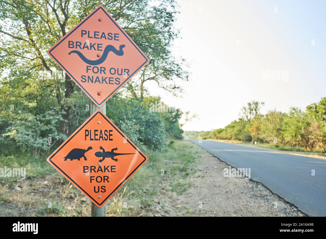 Vorsicht vor Schlangen, Schildkröten und Echsen Schild am Straßenrand, Marloth Park, Südafrika Stockfoto