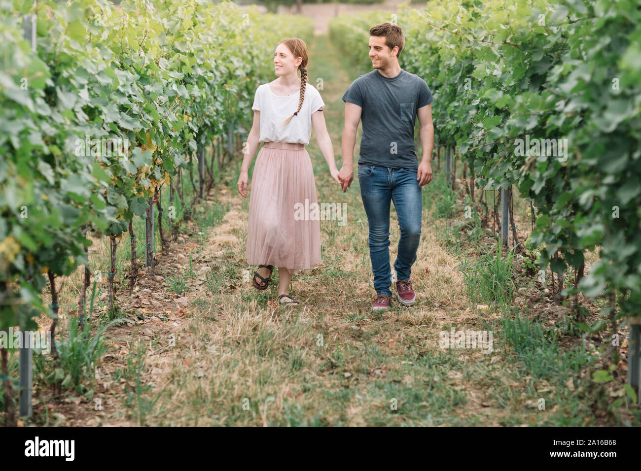 Glückliches junges Paar Hand in Hand in den Weinbergen Stockfoto