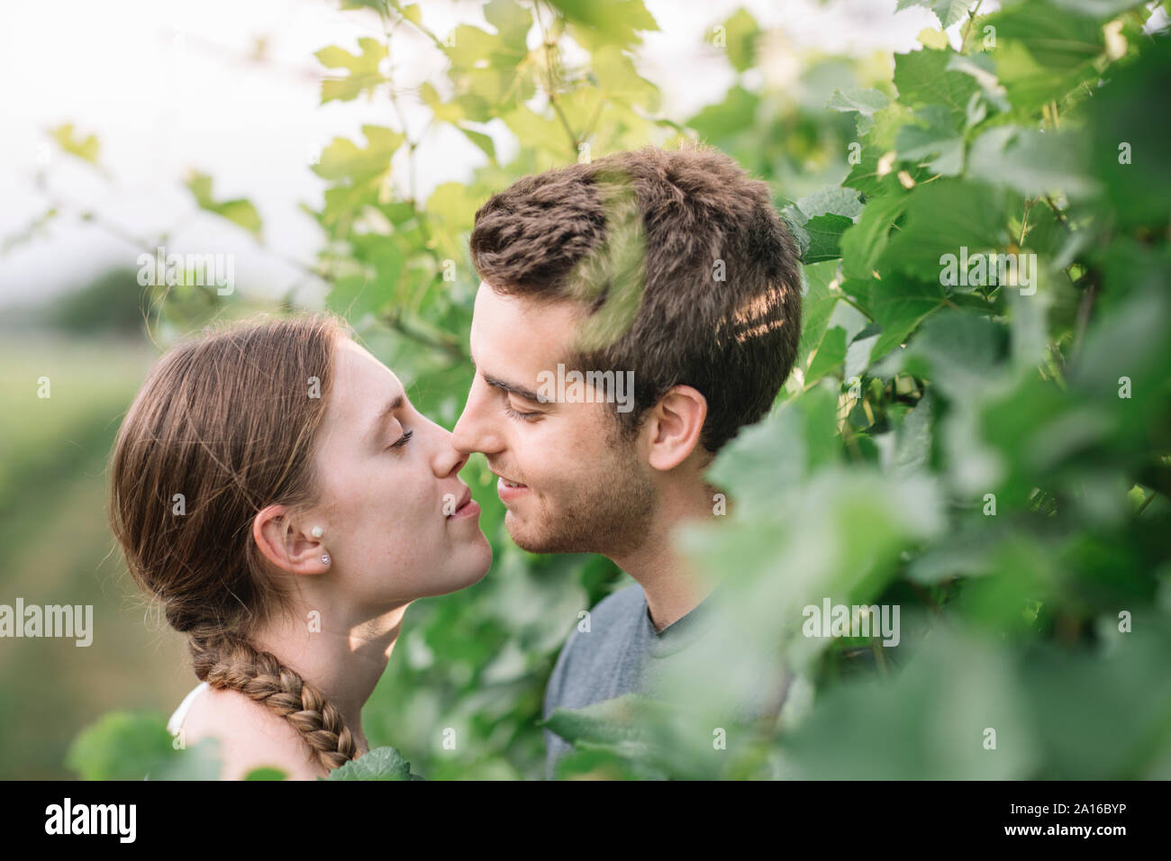 Junges Paar in Liebe in die Weinberge Stockfoto